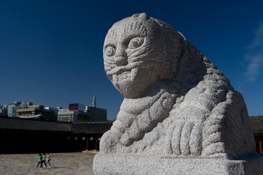 Watching over Seoul