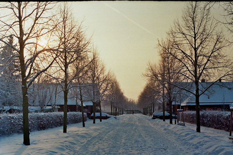 Alexandrowka 10